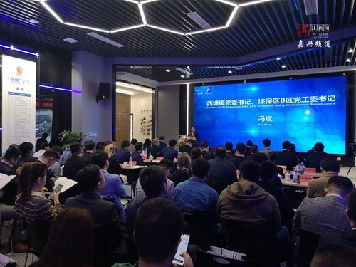跨国合作再深化 中欧企业家齐聚嘉善西塘话发展