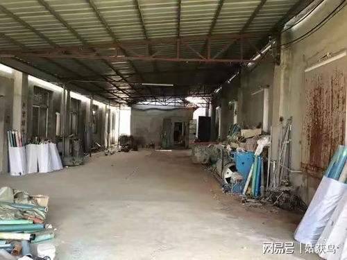 武汉市的一座大型工厂第三次拍卖,价格降到579.5万元也没人要