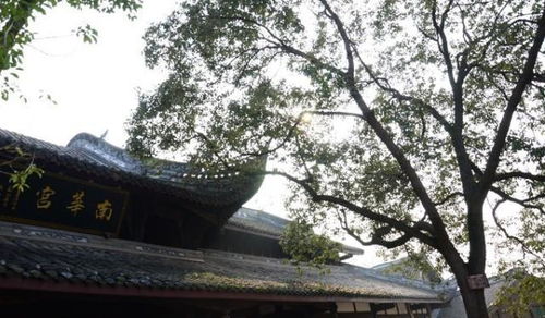 成都周边隐藏一个4a级古镇,门票0元,在山水之间,正越来越火