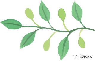 淳安 春风 吹拂第18个年头,如今,这股暖风正越来越......