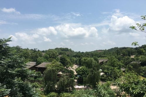成都周边隐藏一个4a级古镇,门票0元,在山水之间,正越来越火
