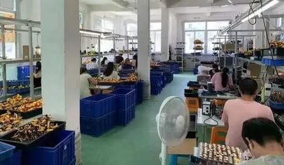 上海查获小黄人等百余款侵权玩具产品，涉案金额逾2亿元